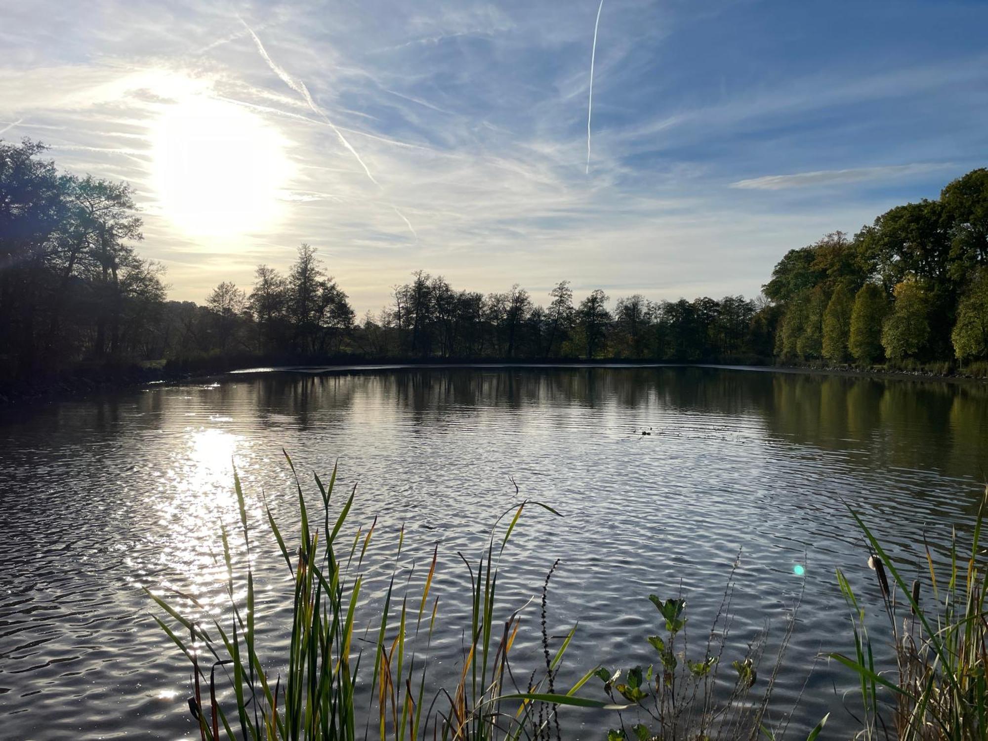 Naturnahe Unterkunft In Der Burgenstadt Schlitz Exterior foto